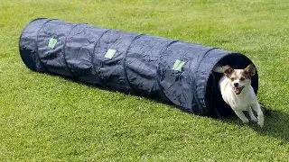 TRIXIE Agility Tunel, jucarie obstacol caini, 40cm x 2m, multicolor
