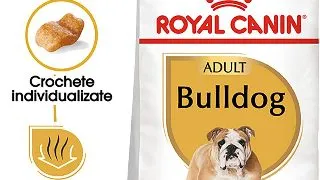 ROYAL CANIN Bulldog Adult, hrana uscata caini, 12kg