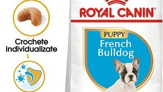 ROYAL CANIN French Bulldog Puppy, hrana uscata caini junior, 3kg
