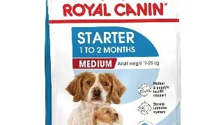 ROYAL CANIN Medium Starter Mother & Babydog, mama si puiul, hrana uscata caini, 15kg