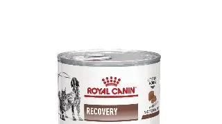 ROYAL CANIN VD Recovery Cat/Dog , XS-XL, dieta veterinara, conserva hrana umeda caini si pisici, convalescenta, (mousse), 195g