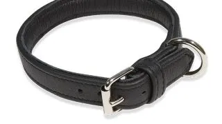 JULIUS-K9 ECO leather, zgarda ajustabila caini, piele, negru JULIUS-K9 ECO leather, zgarda ajustabila caini, piele, 25mm x 50cm, negru