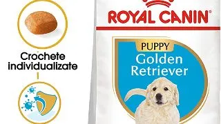 ROYAL CANIN Golden Retriever Puppy, hrana uscata caini junior, 12kg