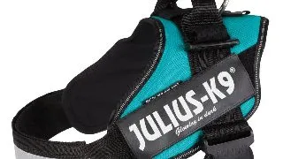Ham Julius-K9 Idc, L: 63-85 cm/50 mm Turquoise