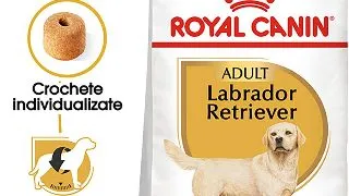 ROYAL CANIN Labrador Adult, hrana uscata caini, 3kg