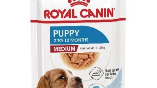 ROYAL CANIN Medium Puppy, hrana umeda caini junior, (in sos), bax, 140g x 10buc