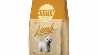 ARATON, XS-XL, Miel si Orez, hrana uscata caini, 15kg