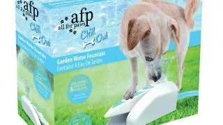 ALL FOR PAWS Fantana de Gradina, fantana caini, asimetrica, XS-XL