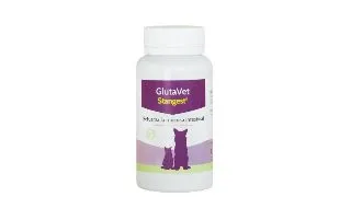 STANGEST Glutavet, XS-XL, supliment sistem digestiv caini si pisici, flacon, 60 comprimate