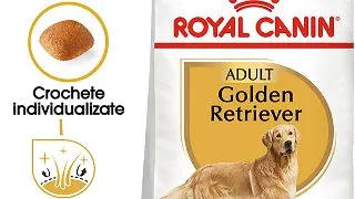 ROYAL CANIN Golden Retriever Adult, hrana uscata caini, 12kg