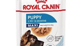 ROYAL CANIN Maxi Puppy, hrana umeda caini junior, (in sos), 140g