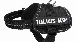 JULIUS-K9 Powerharness, ham caini JULIUS-K9 Power, ham caini, 3XS, 1-3kg, negru