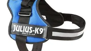 JULIUS-K9 Powerharness, ham caini JULIUS-K9 Power, ham caini, L, 23-30kg, albastru
