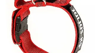 Zgarda Julius-K9, cu maner, nylon - 50mm Rosu
