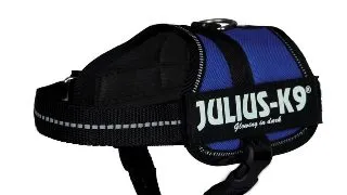 JULIUS-K9 Powerharness, ham caini JULIUS-K9 Power, ham caini, 2XS, 2.5-5kg, albastru