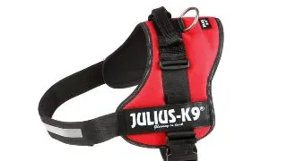 JULIUS-K9 Powerharness, ham caini JULIUS-K9 Power, ham caini, 2XL, 40-80kg, rosu