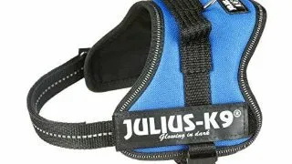 JULIUS-K9 Powerharness, ham caini JULIUS-K9 Power, ham caini, XS, 4-7kg, albastru