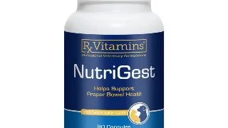 RX VITAMINS NutriGest, supliment sistem digestiv caini, capsule RX VITAMINS NutriGest, supliment sistem digestiv caini si pisici, flacon, 90 capsule