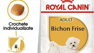 ROYAL CANIN Bichon Frise Adult, hrana uscata caini, 500g