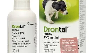 Drontal Puppy Suspension 50ml