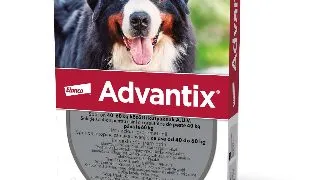 ADVANTIX, deparazitare externa caini, pipeta repelenta ADVANTIX 600, deparazitare externa caini, pipeta repelenta, XL(40 - 60kg), 1buc