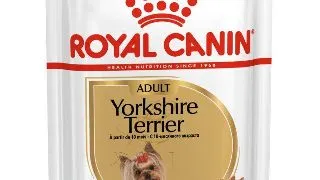 ROYAL CANIN Yorkshire Adult hrana umeda caini (pate), 85g
