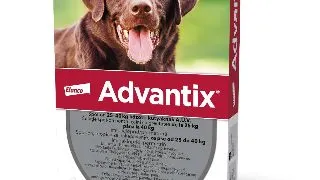 ADVANTIX, deparazitare externa caini, pipeta repelenta ADVANTIX 400, deparazitare externa caini, pipeta repelenta, L(25 - 40kg), 1buc
