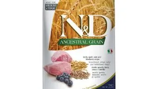 N&D Ancestral Grain Adult Medium/Maxi, M-XL, Miel si afine, hrana uscata continut redus cereale caini, 12kg