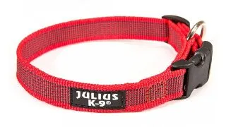 JULIUS-K9 Color & Gray, zgarda ajustabila cu maner caini, nylon, 20mm x 27-42cm, rosu cu gri