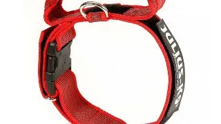JULIUS-K9 Color & Gray, zgarda ajustabila cu maner caini, nylon, 40mm x 38-53cm, rosu cu gri