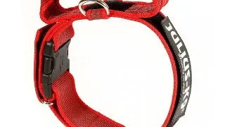 JULIUS-K9 Color & Gray, zgarda ajustabila cu maner caini, nylon, 50mm x 49-70cm, rosu cu gri