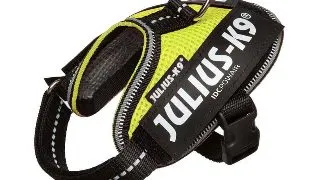 JULIUS-K9 IDC, ham caini, 3XS, 0,8-3kg, verde neon