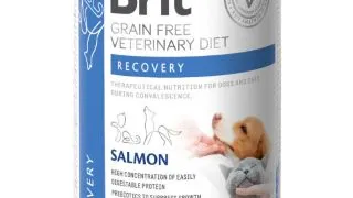 BRIT VD Recovery, Somon, dieta veterinara, conserva hrana umeda fara cereale caini, convalescenta, (in sos), 400g