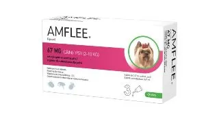 AMFLEE Dog, spot-on, solutie antiparazitara, caini, 3 pipete AMFLEE Dog, spot-on, solutie antiparazitara, caini 2-10 kg, 3 pipete