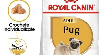 ROYAL CANIN Pug Adult, hrana uscata caini, 1.5kg