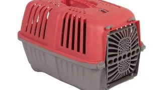 Cusca transport Pratiko plastic - rosu