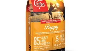 ORIJEN Puppy, hrana uscata fara cereale caini junior ORIJEN Puppy, XS-XL, Pui si Curcan, hrana uscata fara cereale caini junior, 6kg