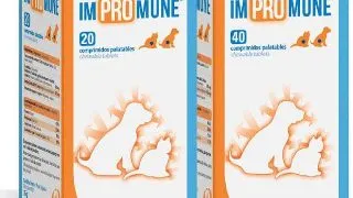 Supliment Nutritiv Impromune, 40 tablete