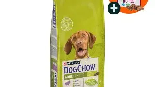 PURINA Dog Chow Adult M, Miel, hrana uscata caini, 14kg