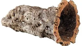 Tunel Din Pluta