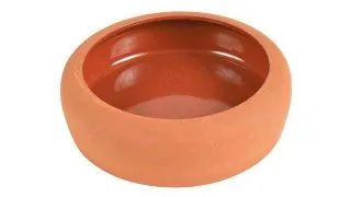 Castron Ceramic Pentru Porcusori de Guineea
