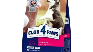 CLUB 4 PAWS Premium Puppy, Pui, hrana uscata caini junior CLUB 4 PAWS Premium Puppies All Breeds, XS-XL, Pui, hrana uscata caini junior, 2kg