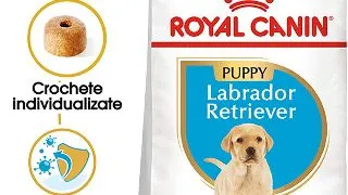 ROYAL CANIN Labrador Puppy, hrana uscata caini junior, 3kg