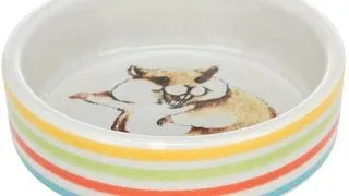 Castron Ceramic Pentru Hamsteri 80 ml