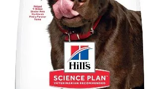 Hill's SP Canine Adult Healthy Mobility Large Breed, 14 Kg