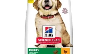 HILL'S Science Plan Puppy L, Pui, hrana uscata caini junior Hill's SP Canine Puppy Large Breed Pui, Value Pack, 16 Kg
