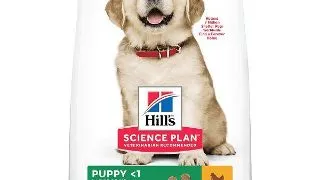 HILL'S Science Plan Puppy L, Pui, hrana uscata caini junior Hill's SP Canine Puppy Large Breed Pui, 14.5 Kg