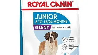 ROYAL CANIN Giant Junior, hrana uscata caini junior, etapa 2 de crestere, 3.5kg