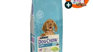 PURINA Dog Chow Puppy M, Miel, hrana uscata caini junior, 14kg