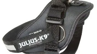 JULIUS-K9 IDC Power, ham tractiune caini, L, 23-30kg, negru